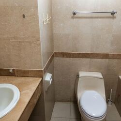 Tanglin Regency (D10), Condominium #601610121